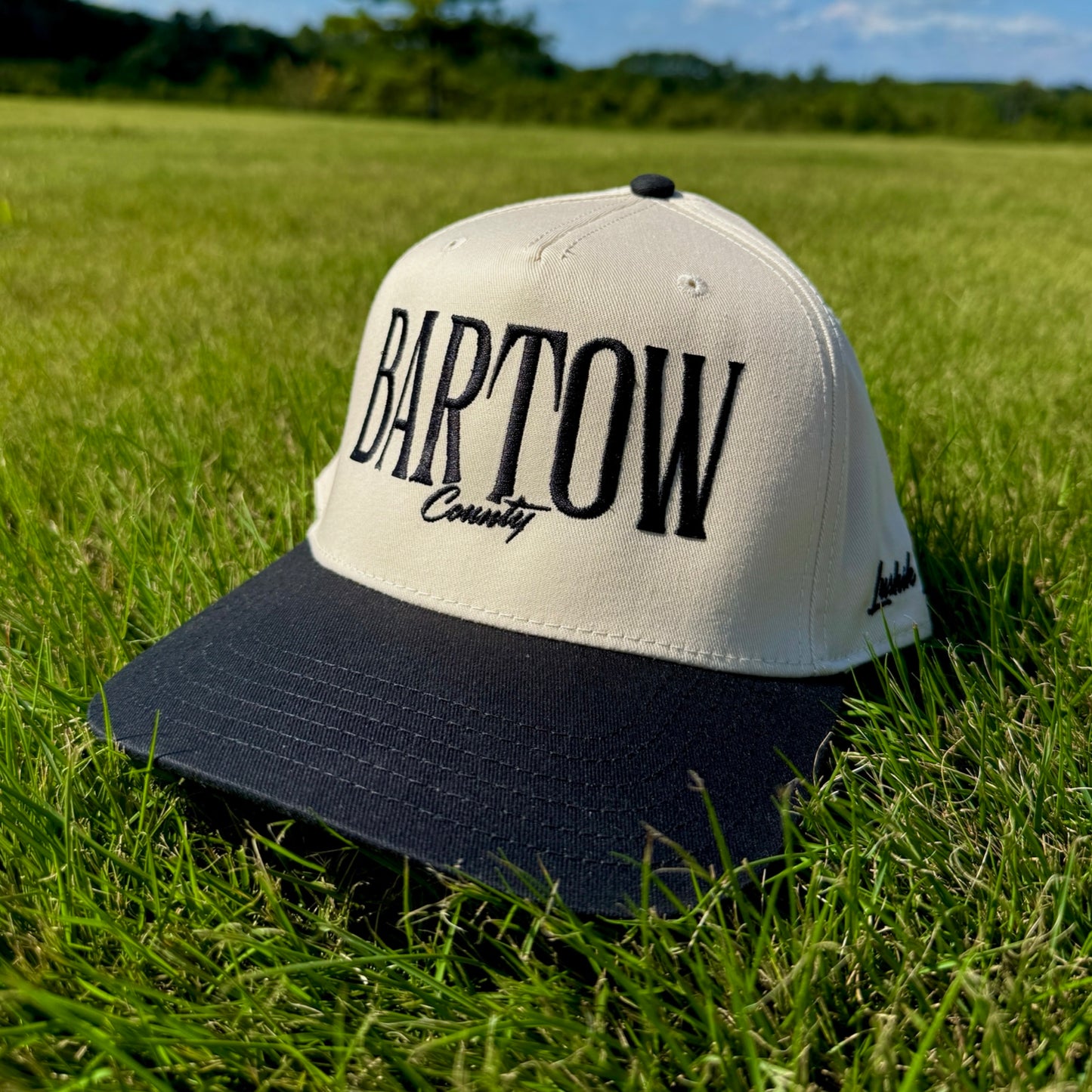 BARTOW COUNTY - OTTO HAT